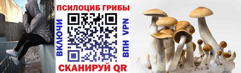 Псилоцибиновые грибы MAGIC MUSHROOMS  shop формула  Тутаев 